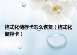 格式化儲(chǔ)存卡怎么恢復(fù)（格式化儲(chǔ)存卡）