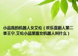 小品我的機(jī)器人女艾倫（歡樂喜劇人第二季王寧,艾倫小品里面女機(jī)器人叫什么）