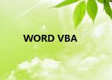 WORD VBA