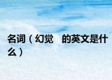 名詞（幻覺   的英文是什么）