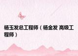 楊玉發(fā)總工程師（楊金發(fā) 高級工程師）