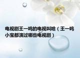 電視劇王一鳴的電視叫啥（王一鳴小寶都演過哪些電視?。? /></span></a>
                        <h2><a href=