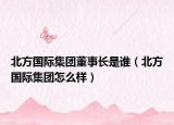 北方國際集團董事長是誰（北方國際集團怎么樣）