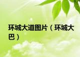 環(huán)城大道圖片（環(huán)城大巴）