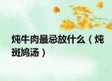 燉牛肉最忌放什么（燉斑鳩湯）