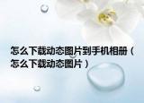 怎么下載動(dòng)態(tài)圖片到手機(jī)相冊(cè)（怎么下載動(dòng)態(tài)圖片）