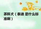 茶杯犬（泰迪 是什么標(biāo)準(zhǔn)啊）