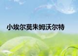 小埃爾莫朱姆沃爾特