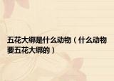 五花大綁是什么動物（什么動物要五花大綁的）