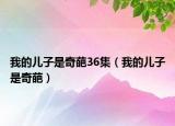 我的兒子是奇葩36集（我的兒子是奇葩）