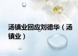 湯鎮(zhèn)業(yè)回應(yīng)劉德華（湯鎮(zhèn)業(yè)）