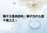 栗子王是真的嗎（栗子為什么是干果之王）