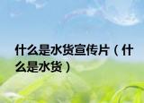 什么是水貨宣傳片（什么是水貨）