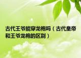 古代王爺能穿龍袍嗎（古代皇帝和王爺龍袍的區(qū)別）