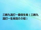 三教九流打一最佳生肖（三教九流打一生肖簡(jiǎn)介介紹）