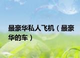 最豪華私人飛機（最豪華的車）