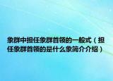 象群中擔(dān)任象群首領(lǐng)的一般式（擔(dān)任象群首領(lǐng)的是什么象簡(jiǎn)介介紹）