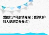 愛的婦產(chǎn)科劇情介紹（愛的婦產(chǎn)科大結(jié)局簡介介紹）