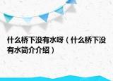 什么橋下沒有水呀（什么橋下沒有水簡介介紹）