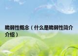 脆弱性概念（什么是脆弱性簡(jiǎn)介介紹）