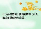 什么的流蘇填上恰當?shù)脑~語（什么的流蘇填空簡介介紹）