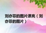 劉亦菲的圖片漂亮（劉亦菲的圖片）