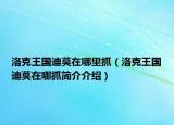 洛克王國(guó)迪莫在哪里抓（洛克王國(guó)迪莫在哪抓簡(jiǎn)介介紹）
