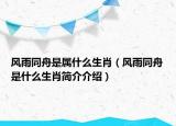 風(fēng)雨同舟是屬什么生肖（風(fēng)雨同舟是什么生肖簡(jiǎn)介介紹）