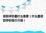 項(xiàng)目評(píng)價(jià)是什么意思（什么是項(xiàng)目評(píng)價(jià)簡(jiǎn)介介紹）