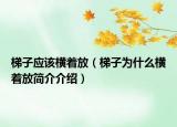 梯子應(yīng)該橫著放（梯子為什么橫著放簡介介紹）