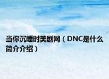當(dāng)你沉睡時(shí)美劇網(wǎng)（DNC是什么簡(jiǎn)介介紹）