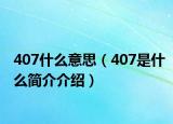 407什么意思（407是什么簡(jiǎn)介介紹）