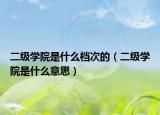 二級學(xué)院是什么檔次的（二級學(xué)院是什么意思）