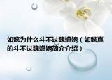 如懿為什么斗不過(guò)魏嬿婉（如懿真的斗不過(guò)魏嬿婉簡(jiǎn)介介紹）