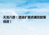 天龍八部（逍遙擴(kuò)展武魂技能懂得進(jìn)）