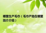 哪里生產(chǎn)毛巾（毛巾產(chǎn)地在哪里簡(jiǎn)介介紹）