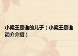 小梁王是誰的兒子（小梁王是誰簡介介紹）