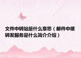 文件中轉站是什么意思（郵件中繼轉發(fā)服務是什么簡介介紹）