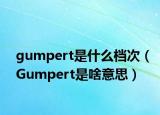 gumpert是什么檔次（Gumpert是啥意思）