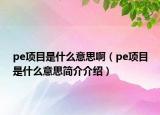 pe項目是什么意思?。╬e項目是什么意思簡介介紹）