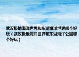 武漢極地海洋世界和東湖海洋世界哪個好玩（武漢極地海洋世界和東湖海洋公園哪個好玩）