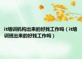 it培訓(xùn)機(jī)構(gòu)出來的好找工作嗎（it培訓(xùn)班出來的好找工作嗎）