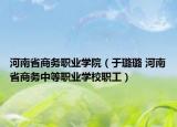 河南省商務(wù)職業(yè)學(xué)院（于璐璐 河南省商務(wù)中等職業(yè)學(xué)校職工）
