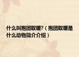 什么叫抱團(tuán)取暖?（抱團(tuán)取暖是什么動物簡介介紹）