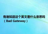 有誰(shuí)知道這個(gè)英文是什么意思嗎（Bad Gateway）