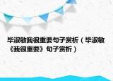畢淑敏我很重要句子賞析（畢淑敏《我很重要》句子賞析）