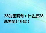 28的因素有（什么是28現(xiàn)象簡介介紹）
