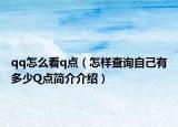 qq怎么看q點(diǎn)（怎樣查詢自己有多少Q(mào)點(diǎn)簡介介紹）