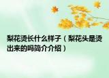 梨花燙長(zhǎng)什么樣子（梨花頭是燙出來的嗎簡(jiǎn)介介紹）