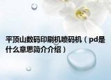平頂山數(shù)碼印刷機噴碼機（pd是什么意思簡介介紹）